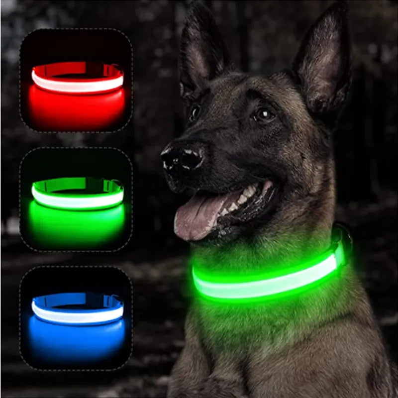 Coleira LED para dogs