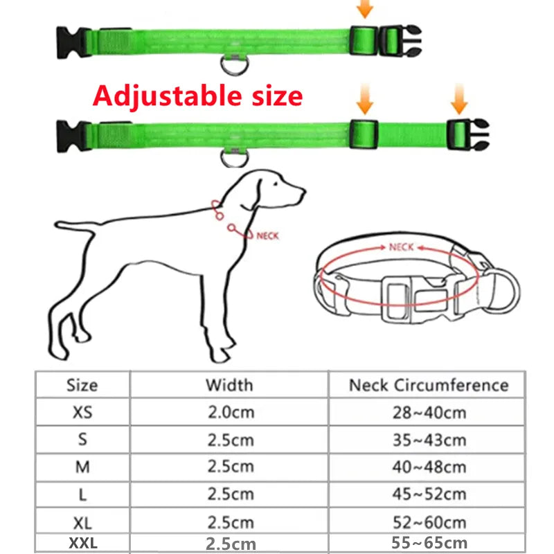 Coleira LED para dogs