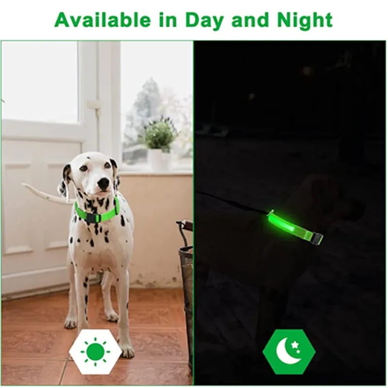 Coleira LED para dogs