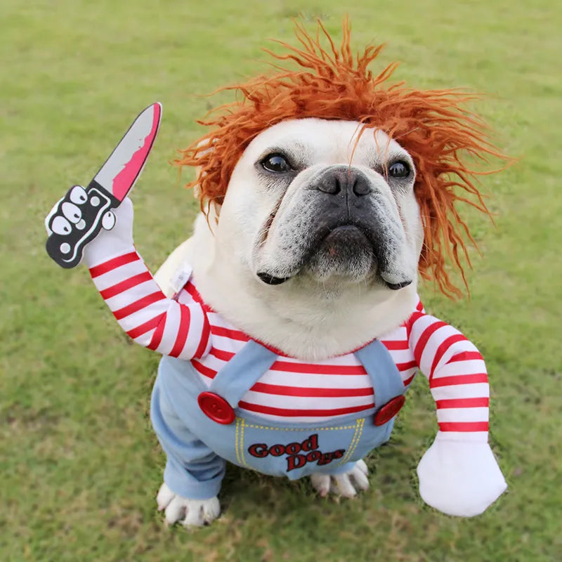 TOP Fantasias para halloween para cachorros